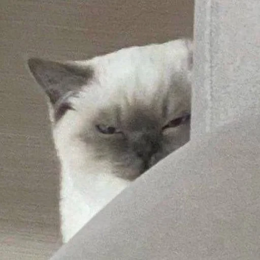 স্টিকার