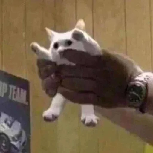 স্টিকার