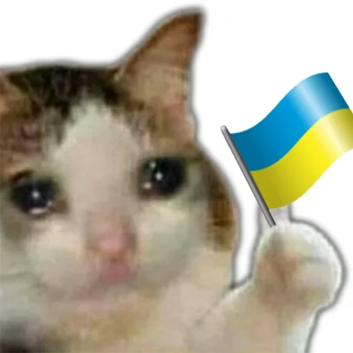 স্টিকার