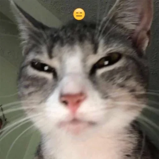 স্টিকার