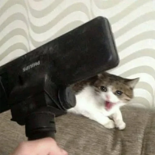 স্টিকার