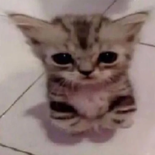 স্টিকার