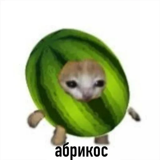 স্টিকার