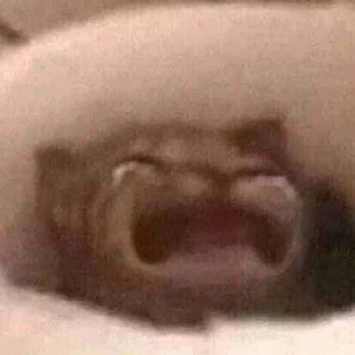 স্টিকার