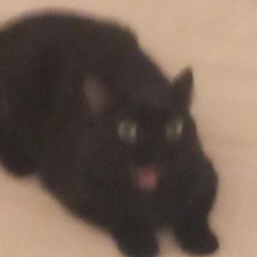 স্টিকার