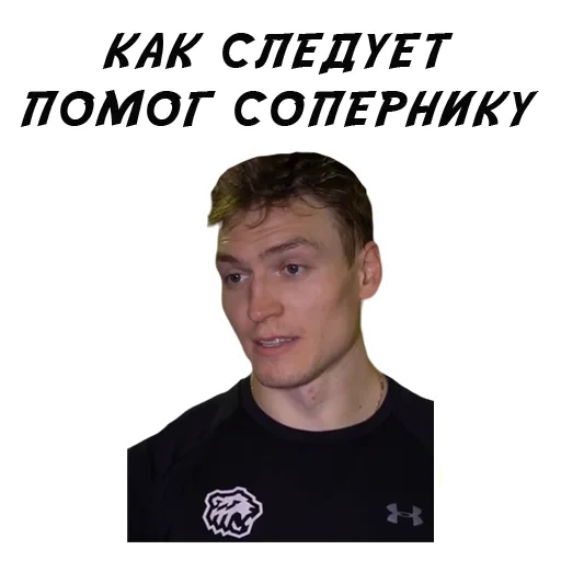 Samolepka