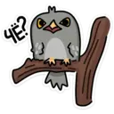 ஸ்டிக்கர்