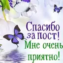 స్టికర్