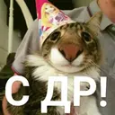 ស្ទីកเกอร์