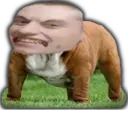 ස්ටිකර්