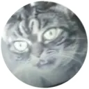 ස්ටිකර්