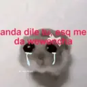 สติกเกอร์