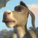 স্টিকার