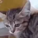 స్టికర్