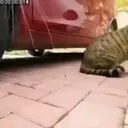 స్టికర్