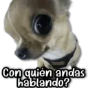 ஸ்டிக்கர்