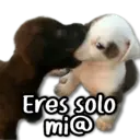 ஸ்டிக்கர்