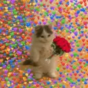 ஸ்டிக்கர்