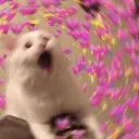 ஸ்டிக்கர்