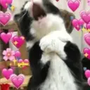 ஸ்டிக்கர்