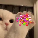 ஸ்டிக்கர்