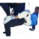 స్టికర్