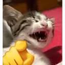 స్టికర్