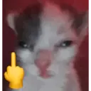 స్టికర్