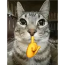 స్టికర్