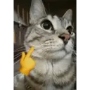 స్టికర్