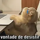 স্টিকার