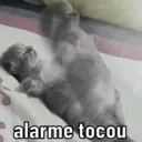 স্টিকার