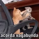 স্টিকার