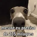 স্টিকার