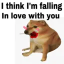 ஸ்டிக்கர்