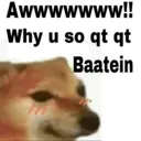 ஸ்டிக்கர்