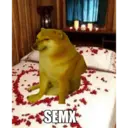 ஸ்டிக்கர்