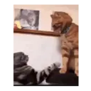 ஸ்டிக்கர்