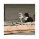 ஸ்டிக்கர்