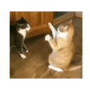 ஸ்டிக்கர்