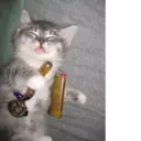 ஸ்டிக்கர்