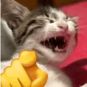 สติกเกอร์