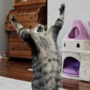 สติกเกอร์