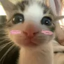 สติกเกอร์