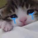 สติกเกอร์