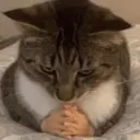 สติกเกอร์