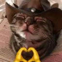 สติกเกอร์