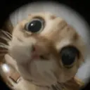 สติกเกอร์