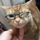 สติกเกอร์