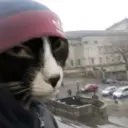 สติกเกอร์